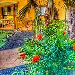 Paradise House