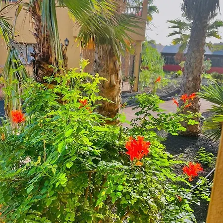 Paradise House Apartment *