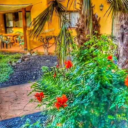 Paradise House
