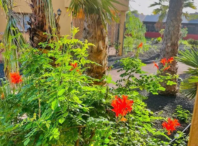 Paradise House شقة *